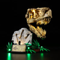 Lego Dinosaur Fossils T. rex Skull 76964 Light Kit