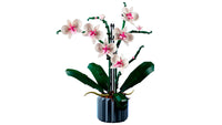 LEGO 10311 Botanicals Orchid