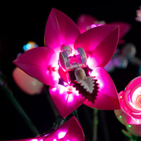 Lego Pretty Pink Flower Bouquet 10342 Light Kit