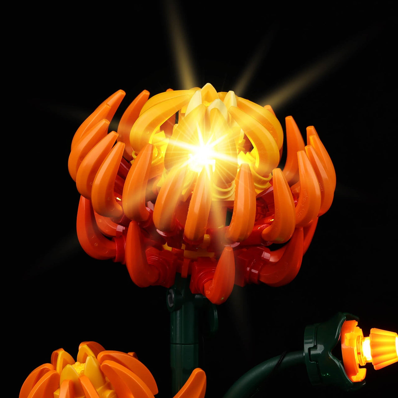 Lego Chrysanthemum 10368 Light Kit