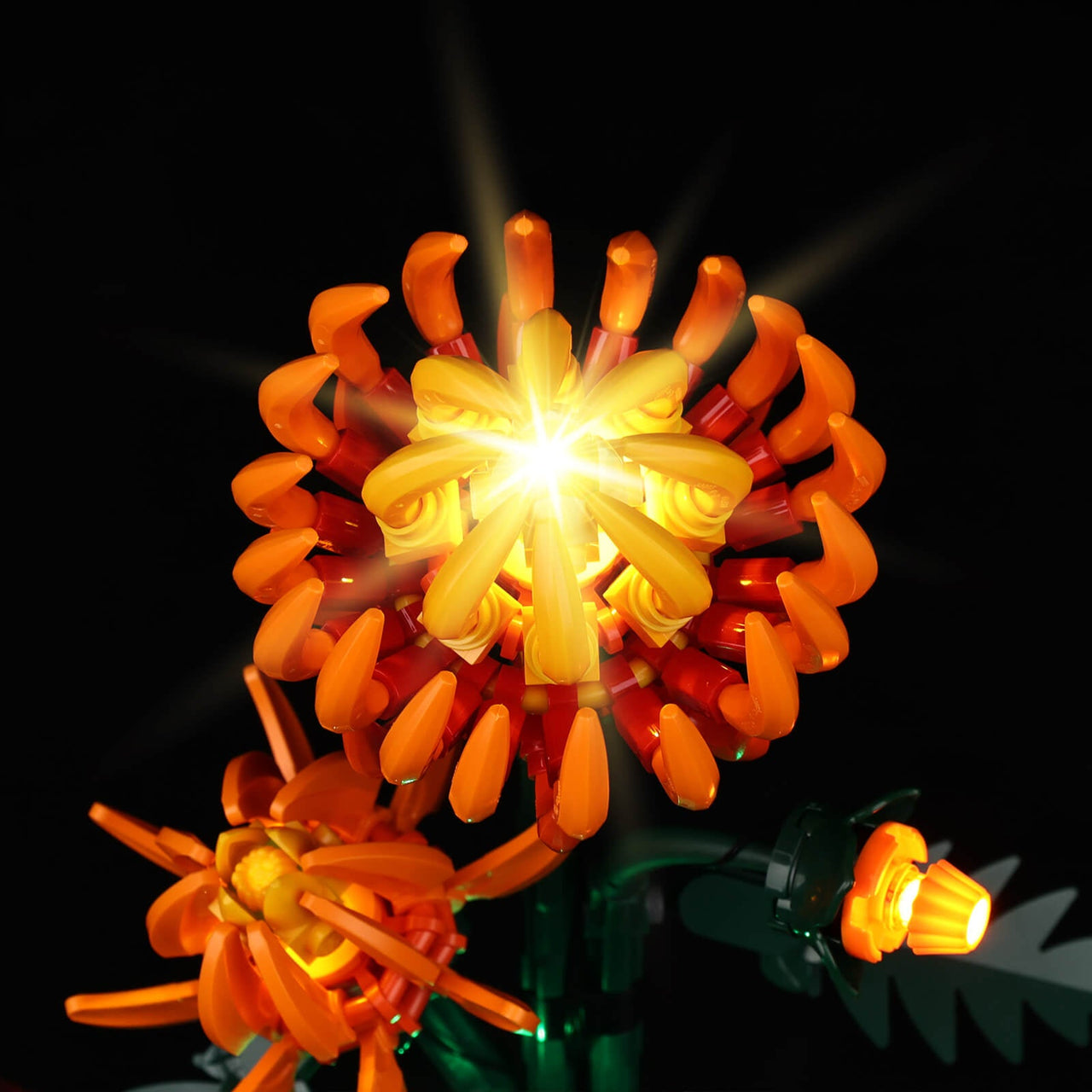 Lego Chrysanthemum 10368 Light Kit