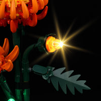 Lego Chrysanthemum 10368 Light Kit