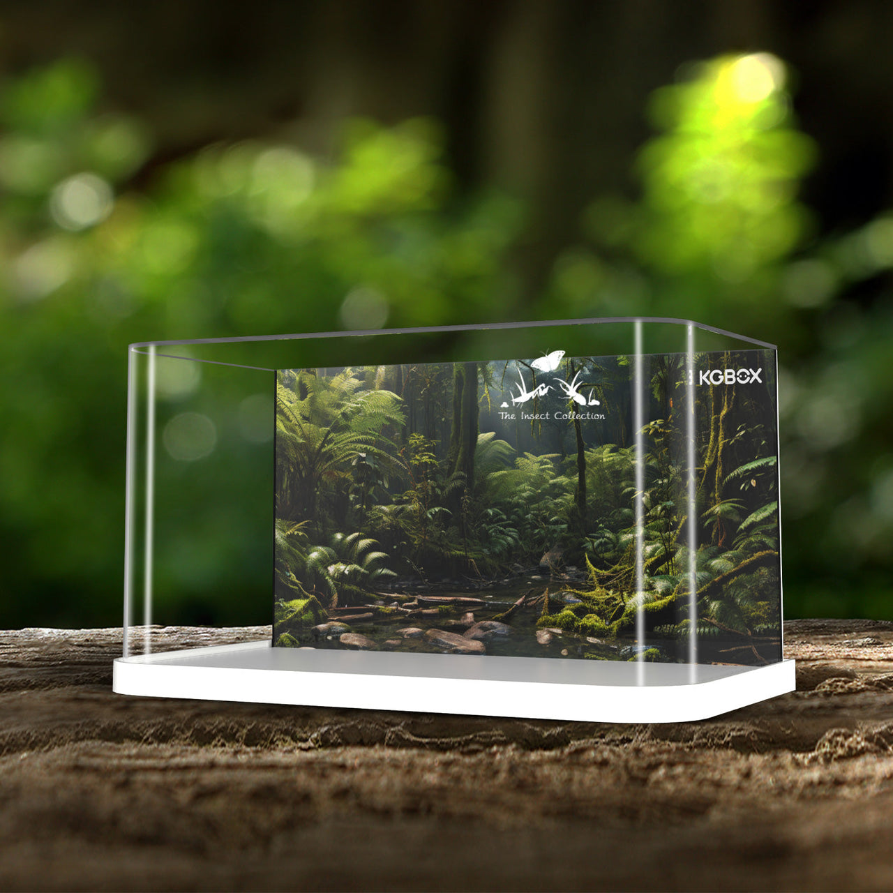 Lego 21342 The Insect Collection Display Case