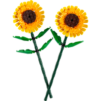 LEGO 40524 Icons Sunflowers