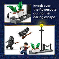 LEGO 76459 Harry Potter 
Hagrid & Harry's Privet Drive Escape
