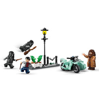 LEGO 76459 Harry Potter 
Hagrid & Harry's Privet Drive Escape