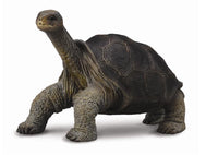 CollectA Pinta Island Tortoise (Lonesome George)