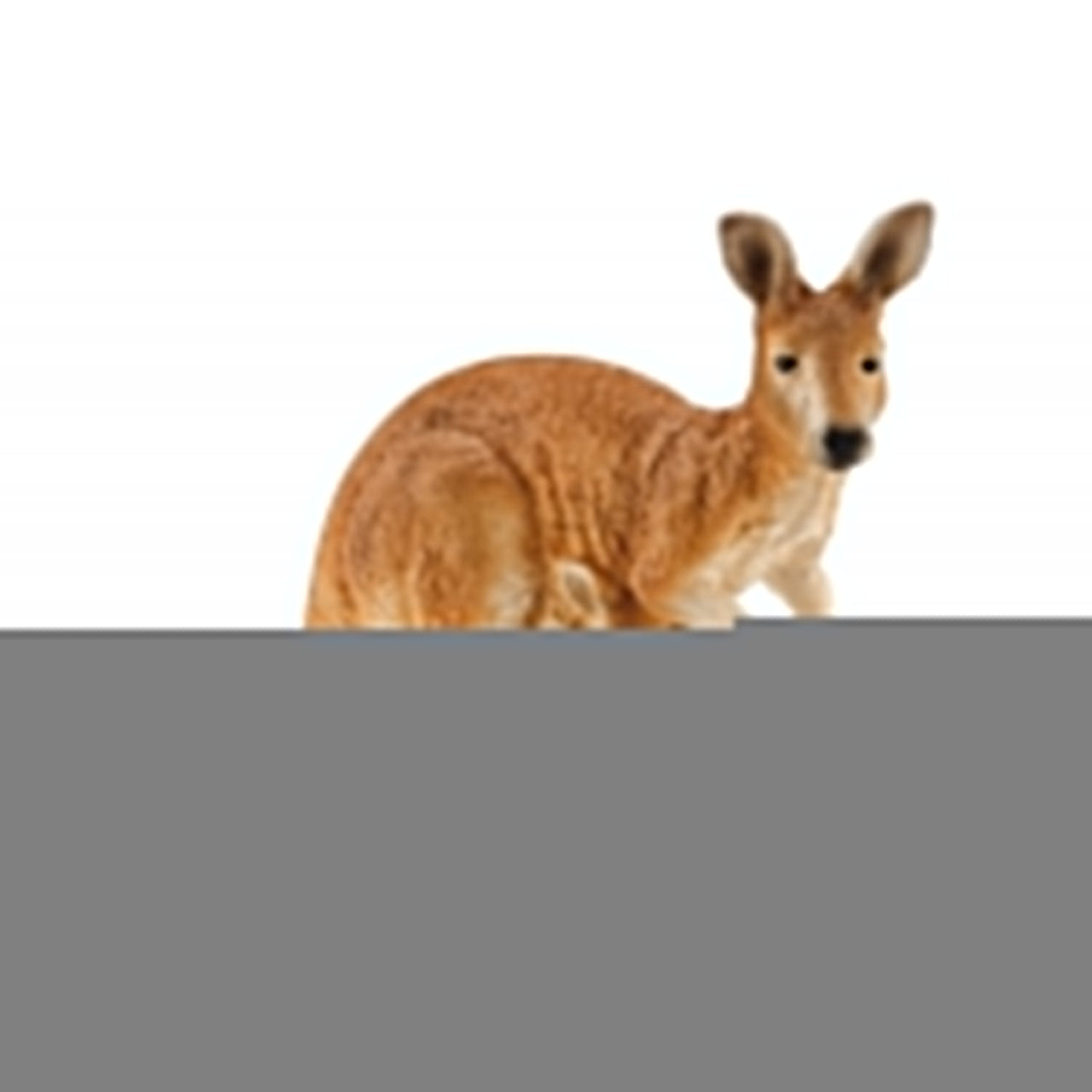 Schleich Kangaroo