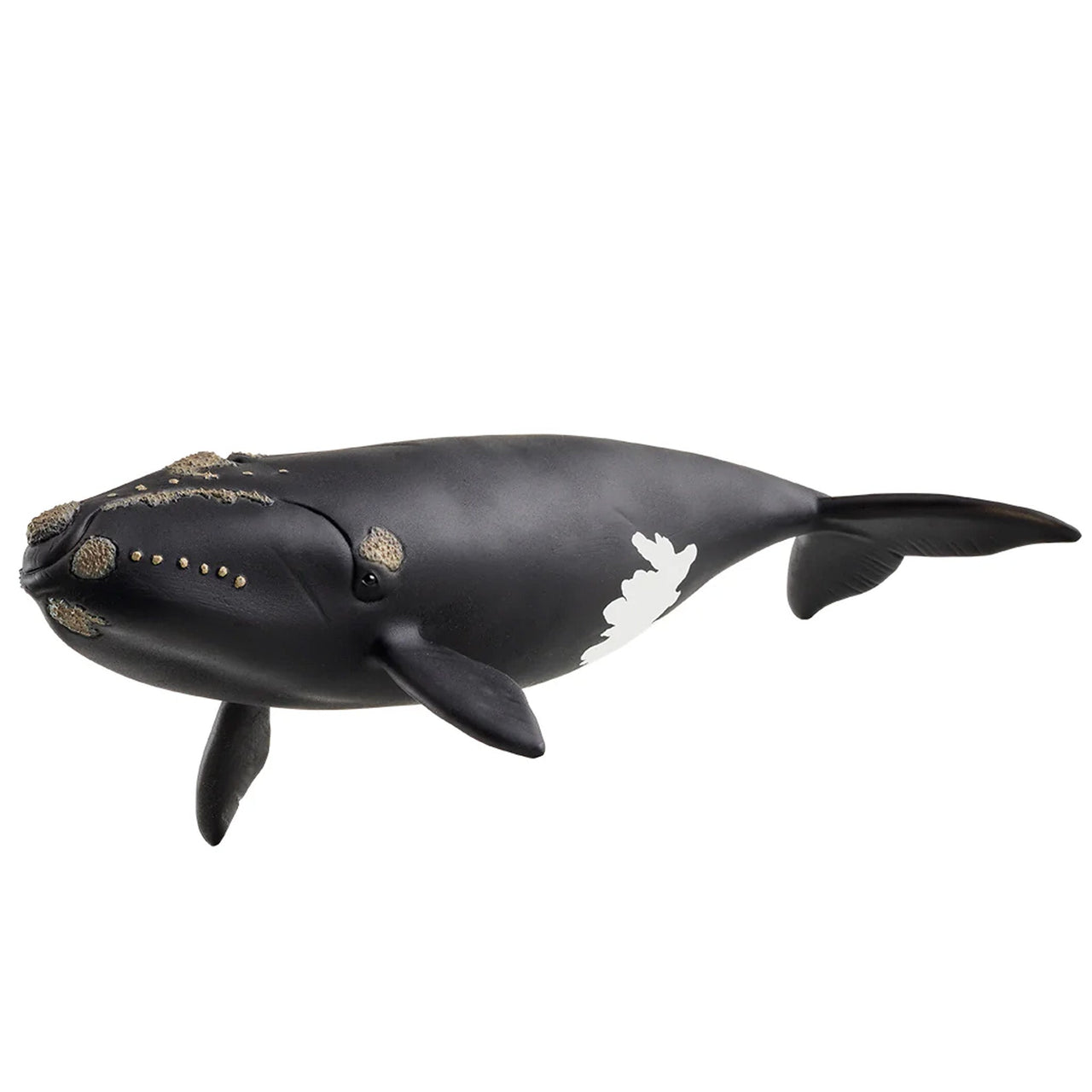 Schleich North Atlantic Right Whale