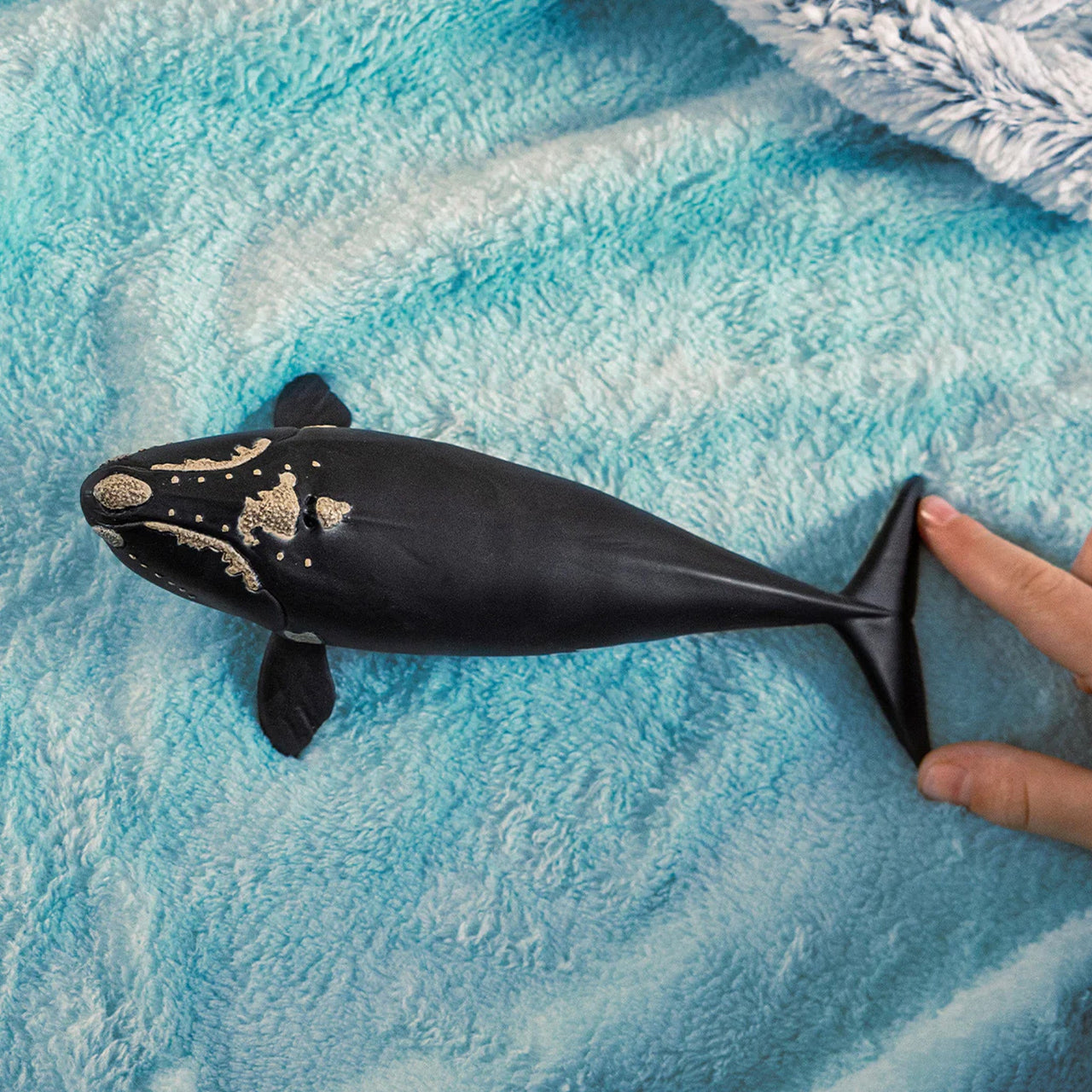 Schleich North Atlantic Right Whale