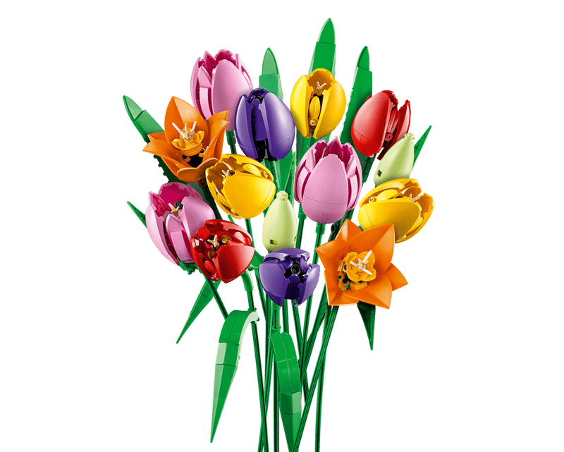 LEGO 11501 Botanicals Tulip Bouquet