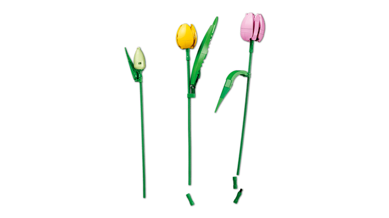 LEGO 11501 Botanicals Tulip Bouquet