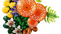 LEGO 11505 Botanicals Woodland Mushrooms