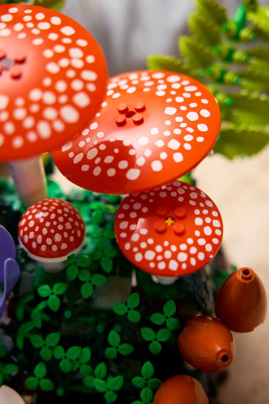 LEGO 11505 Botanicals Woodland Mushrooms