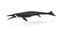 CollectA Shastasaurus