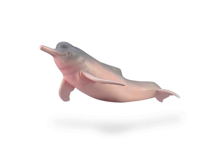 Collecta Amazon River Dolphin Figure (Red Dot)