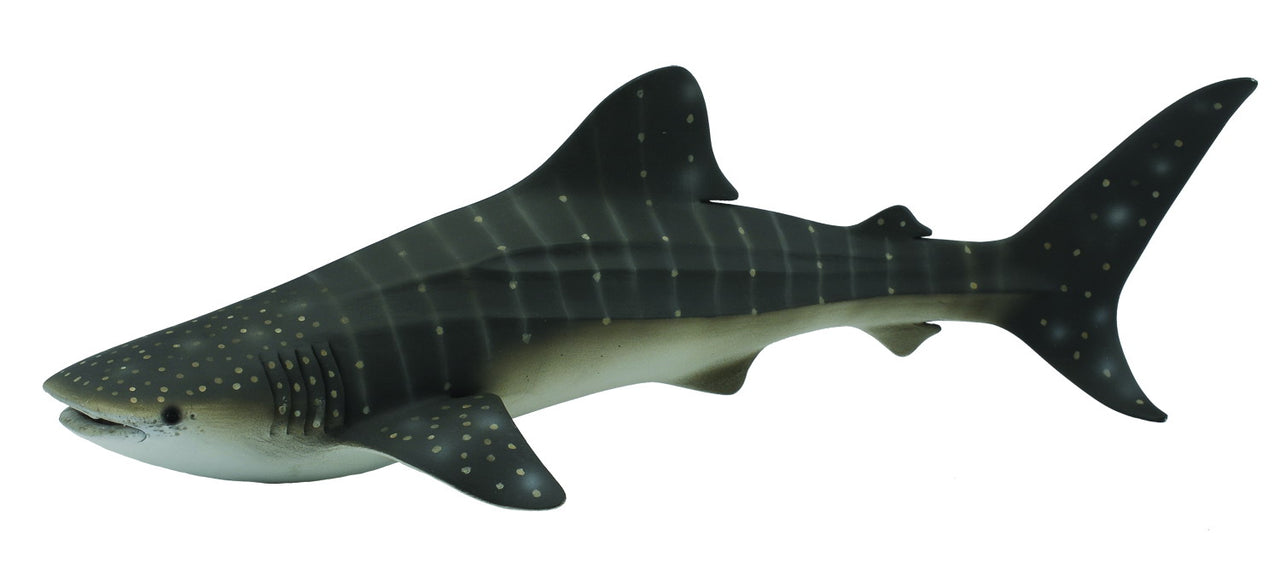 CollectA Whale Shark Figure (Grey Dot)