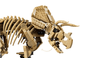 LEGO 77985 Jurassic World Dinosaur Fossils: Triceratops